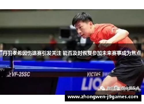 丹羽孝希因伤退赛引发关注 能否及时恢复参加未来赛事成为焦点