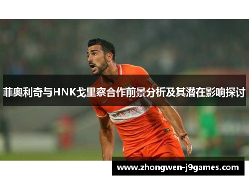 菲奥利奇与HNK戈里察合作前景分析及其潜在影响探讨